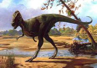 Злоумышленники украли след динозавра