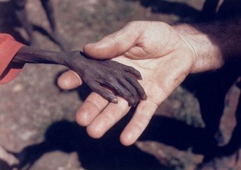 Миллион суданцев погибнут без гуманитарной помощи