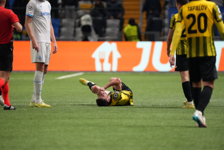 Жоржиньо на газоне