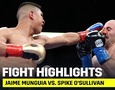 Видео лучших моментов дебютного боя экс-чемпиона мира из Мексики в весе Головкина 